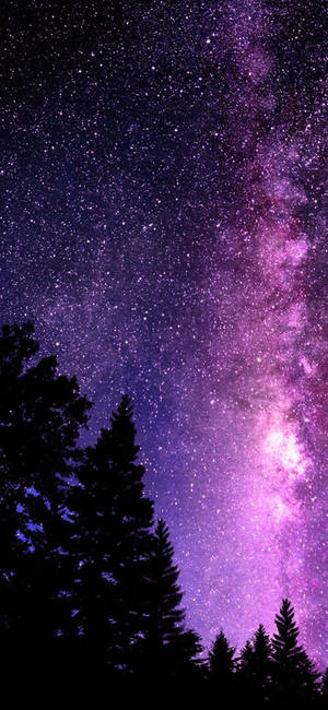 ยอดไม้กับกาแล็กซีน่ารัก — Galaxy S25 FE วอลเปเปอร์