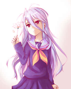 พื้นหลัง No Game No Life — ノーゲーム・ノーライフ วอลเปเปอร์