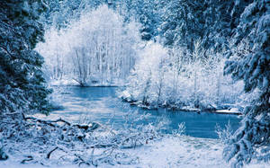 วอลเปเปอร์ริมแม่น้ำสีขาวในฤดูหนาว
