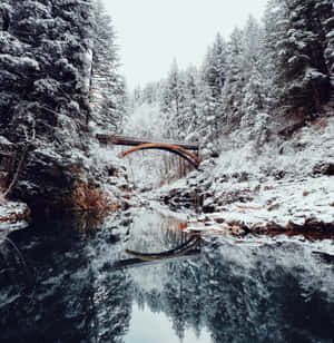 ภาพความงามของหิมะ — หิมะสวยงาม วอลเปเปอร์