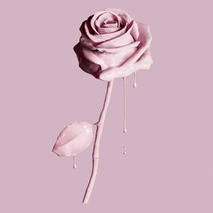 ละลายโรสโกลด์สวยงาม — Rose gold สายมินิมอล วอลเปเปอร์