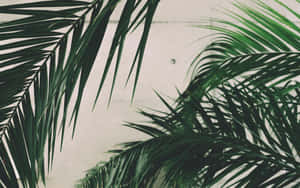 1280x800 — 1280x720 วอลเปเปอร์