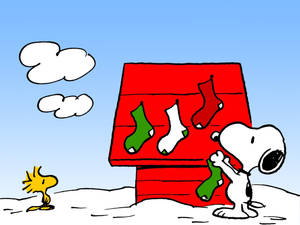 วอลเปเปอร์ถุงเท้าคริสต์มาสสนูปปี้ — Snoopy คริสต์มาส วอลเปเปอร์
