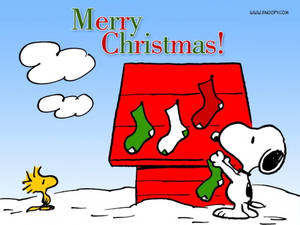 วอลเปเปอร์ถุงเท้าคริสต์มาสบ้านสนูปปี้ — Snoopy คริสต์มาส วอลเปเปอร์