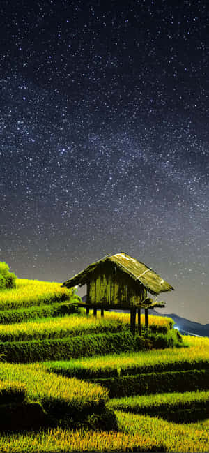 Farming — iPhone 18 วอลเปเปอร์