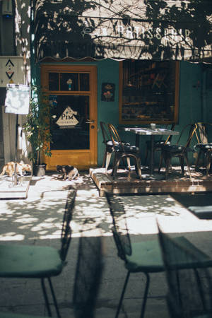 วันที่แดดออกหน้าร้านกาแฟ — เสี่ยวหมี่ แท็บเล็ต 8 วอลเปเปอร์