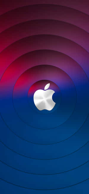 ภาพ iPhone 13