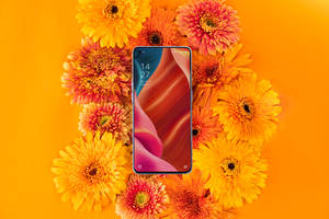สมาร์ทโฟน Oppo และดอกไม้ที่เบ่งบาน