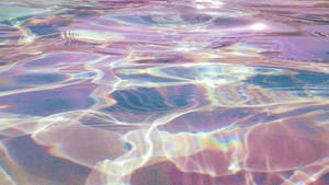 สวยงามบนเดสก์ท็อป