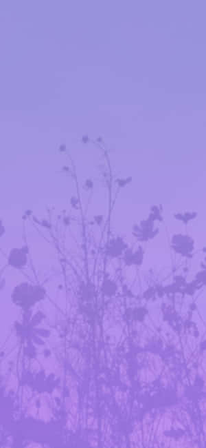 ภาพสีม่วงสุนทรีย์ — เทคนo แคเมรอน วอลเปเปอร์