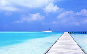 วอลเปเปอร์สวรรค์ทะเลฤดูร้อน — มหาสมุทร วอลเปเปอร์