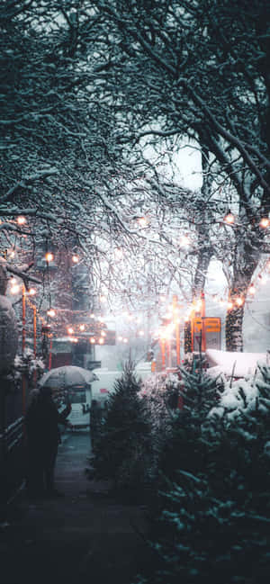 ภาพความงามของหิมะ — หิมะสวยงาม วอลเปเปอร์