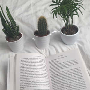 ภาพสวยๆสไตล์หนังสือ — สุนทรียภาพคำคม GIF วอลเปเปอร์