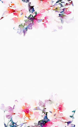 สีชมพูและขาวสวยงาม — เทคนโน เมกาพัด 11 วอลเปเปอร์