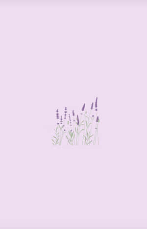 Lilac Color — เทคนโน เมกาพัด SE วอลเปเปอร์