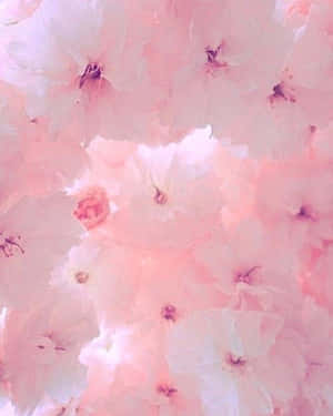 ภาพสวยสไตล์พาสเทลสีชมพู — พาสเทลสีชมพู วอลเปเปอร์