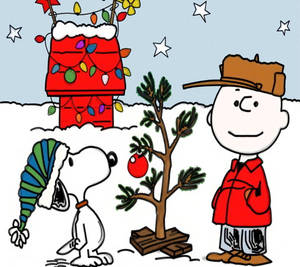 วอลเปเปอร์สโนว์พีคริสต์มาสดวงดาว — Snoopy คริสต์มาส วอลเปเปอร์