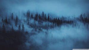 หมอกป่าไม้สวยงามสีน้ำเงินเข้ม HD — สุนทรียภาพสีน้ำเงินเข้ม วอลเปเปอร์