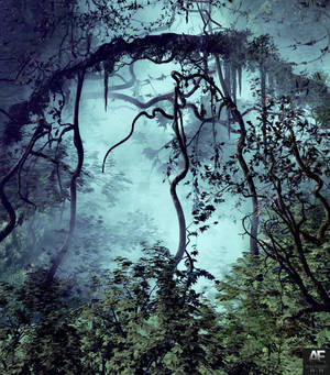 วอลเปเปอร์ป่าหมอกในป่าดงดิบที่มีหมอกปกคลุมต่อเนื่อง — Nubia Fold วอลเปเปอร์