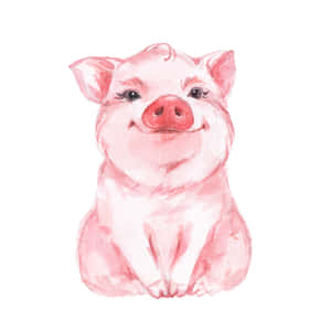 รูปหมูน่ารัก — iPad Air 13 วอลเปเปอร์