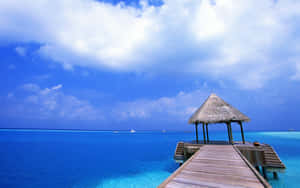 หาดเม็กซิกันสวยงามยามพระอาทิตย์ตก — 3440x1440 วอลเปเปอร์