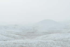 ภาพสวยงามแนวหิมะ — หิมะสวยงาม วอลเปเปอร์