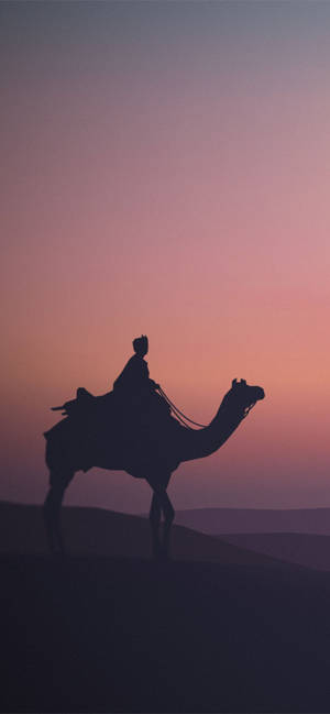วอลเปเปอร์อูฐในฉากสีม่วง — iPhone 16 Plus วอลเปเปอร์