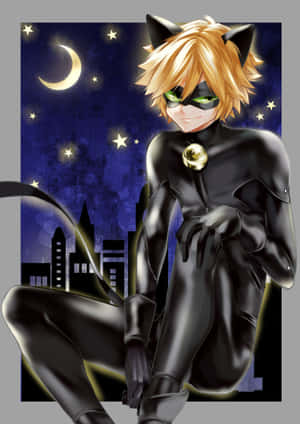 รูปภาพ Cat Noir — แมวสีดำ วอลเปเปอร์