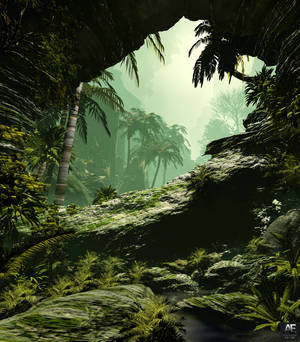 วอลเปเปรป่าฝนหมอกหนาที่มีต้นปาล์มเขียวชอุ่ม — Galaxy Z Fold วอลเปเปอร์