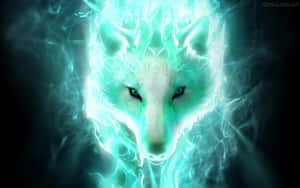 Super Cool Wolf — หมาป่าเท่ วอลเปเปอร์