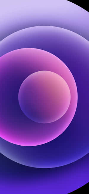 iPhone สีพาสเทลม่วง — เสี่ยวหมี่ 17 วอลเปเปอร์