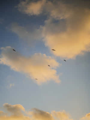 ภาพท้องฟ้าสวยงาม — สกายสวยงาม วอลเปเปอร์