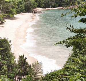 วอลเปเปอร์ชายหาดเขตร้อน