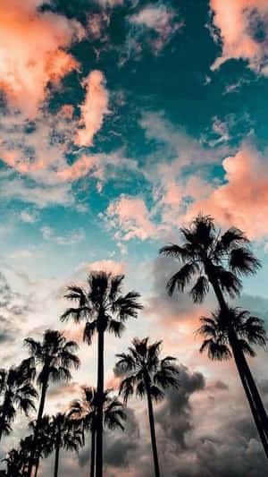ภาพฤดูร้อน
