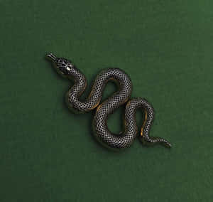 ภาพสไตล์ Slytherin Aesthetic