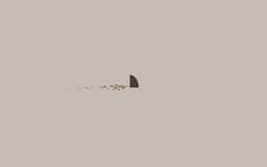 เสน่ห์แห่งโทนสีเบจ — สีเบจ สุนทรียภาพ GIF วอลเปเปอร์