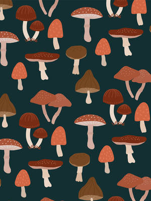 เห็ดลายเวกเตอร์สวยงาม — เห็ดสวยงาม วอลเปเปอร์