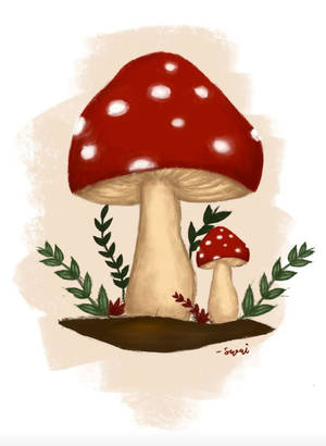 เห็ดสีแดงสไตล์อินดี้คิด