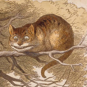 รูปแมวเชชเชียร์ — 柴郡猫 วอลเปเปอร์