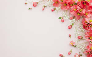 1280x800 — 1280x720 วอลเปเปอร์