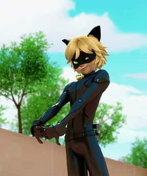ภาพ Cat Noir — แมวสีดำ วอลเปเปอร์