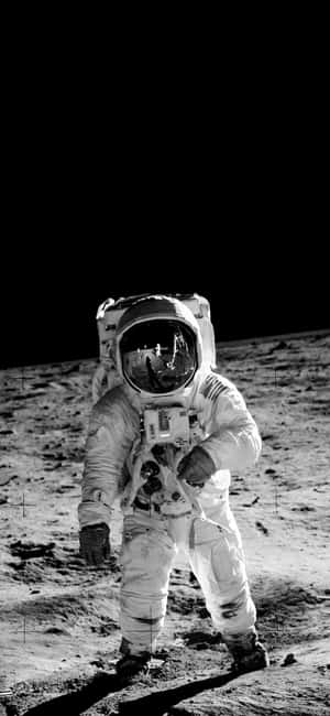 โทรศัพท์สวยงามขาวดำ — พิกเซล 8 โปร วอลเปเปอร์