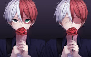 วอลเปเปอร์โทโดโรกิสุดน่ารักถือกุหลาบแดง — น่ารัก โทโดโรกิ วอลเปเปอร์