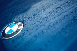 วอลเปเปอร์ระยะใกล้ของโลโก้ BMW บนรถสีน้ำเงินที่มีหยดน้ำ