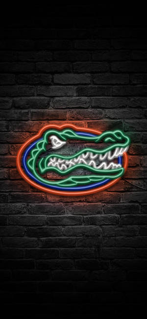 วอลเปเปอร์โลโก้ Florida Gators ในแสงนีออน — iPhone 11 Pro วอลเปเปอร์
