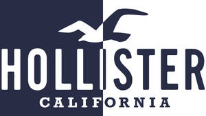 วอลเปเปอร์โลโก้ Hollister สองสี — สกรีนเซฟเวอร์ วอลเปเปอร์