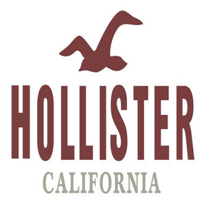 วอลเปเปอร์โลโก้คลาสสิก Hollister — Pixel Watch 5 วอลเปเปอร์