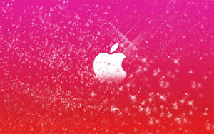 วอลเปเปอร์โลโก้แอปเปิ้ลสีชมพูน่ารัก — iPhone สีชมพูสวยงาม วอลเปเปอร์