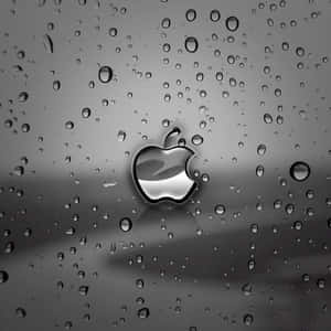 iPad น่ารักสีเข้ม — น่ากุ iPad วอลเปเปอร์