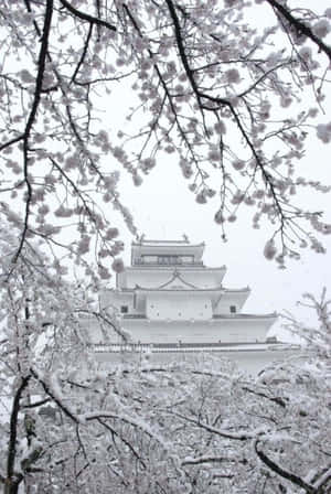 ภาพสุนทรียะโทนเทา — สีเทาแนวสวยงาม วอลเปเปอร์